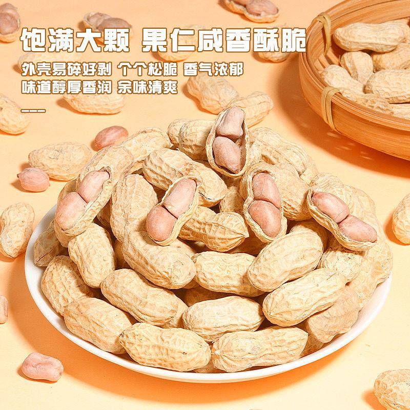 龙岩蒜香花生500g带壳花生米水煮湿烤咸干晒干五香花生炒货零食