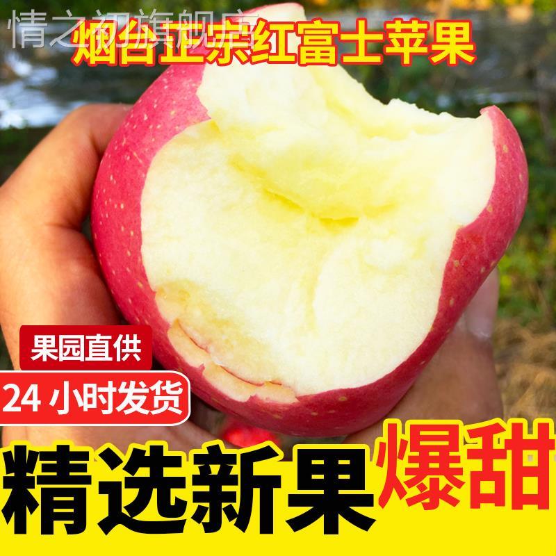 正宗山东栖霞红富士脆甜丑苹 果水果特产烟台富士苹 果5斤整箱包
