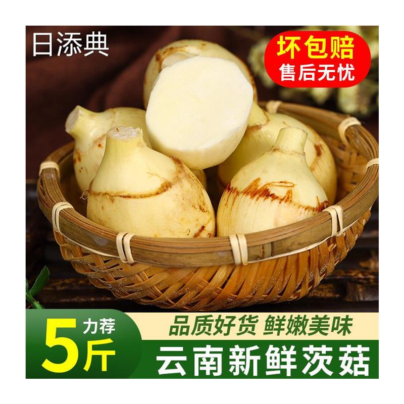 云南新鲜白慈姑茨菰茨菇白