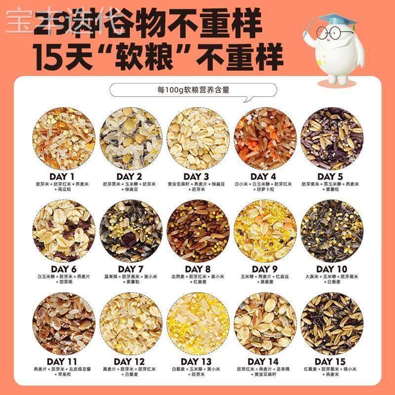极速芽芽乐每日软粮粥五谷