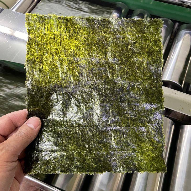 千屿寿司海苔 商用烤海苔片50张 手卷饭团日料紫菜包饭寿司皮