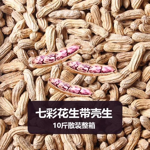 2024新云南七彩花生带壳生熟五彩牛奶花生酒店商用花生米整箱
