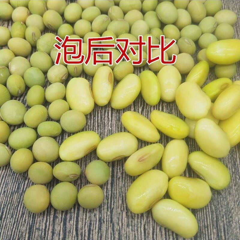 新黄豆5斤 农家自种粉青大黄豆非转基因老品种青大豆青皮黄豆包邮