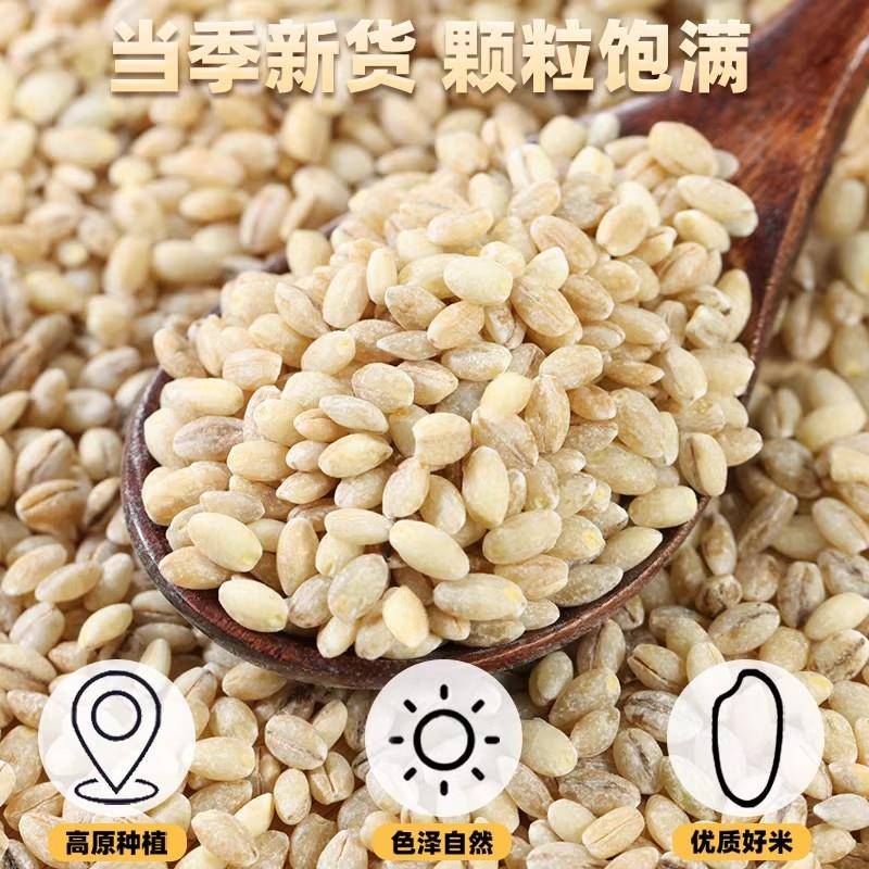 青稞米新米西藏青海农家大麦粒粗粮纯青稞大米麦仁五谷杂粮糙米饭