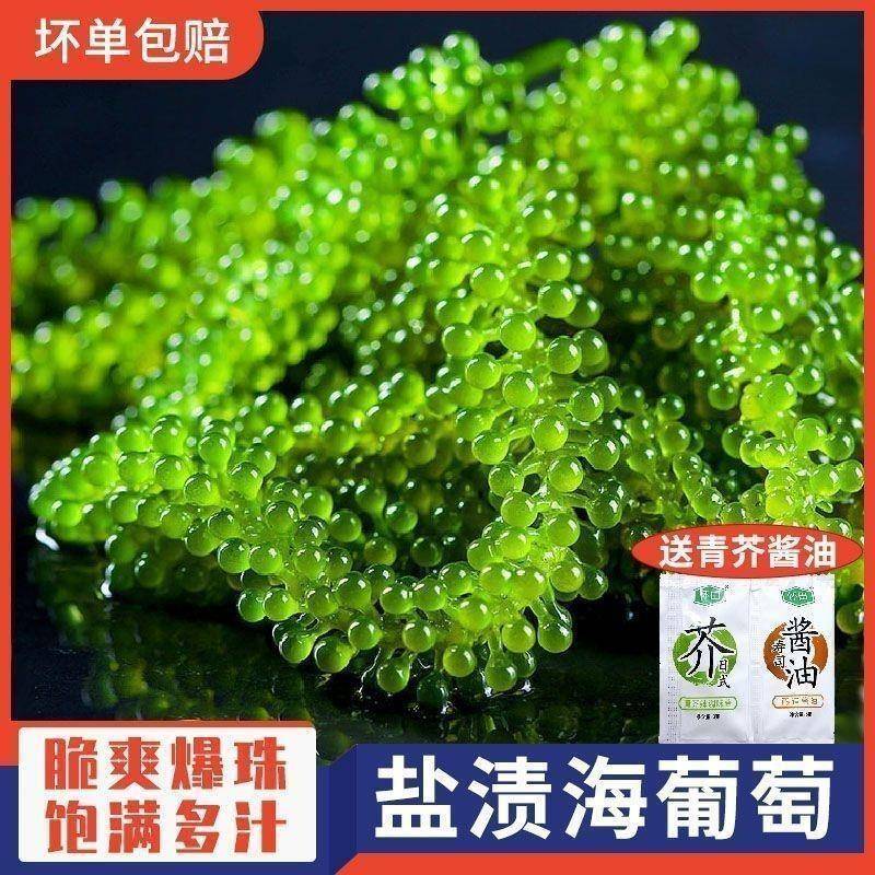 儿童海葡萄绿色鱼子酱即食泡发爆珠零食新鲜盐渍海葡萄官方旗舰店