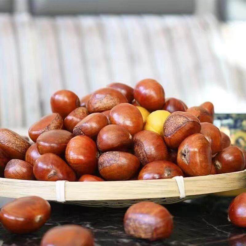 新鲜开口即食熟栗板栗烤栗