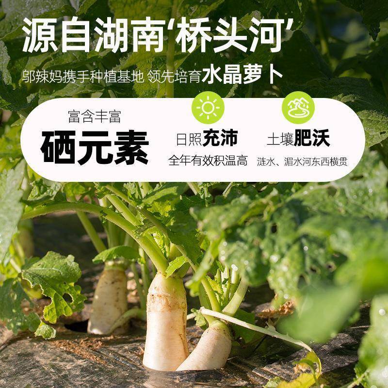 邬辣妈桥头河水晶小萝卜头500g泡椒爽口咸菜酸辣剁椒香脆下饭零食