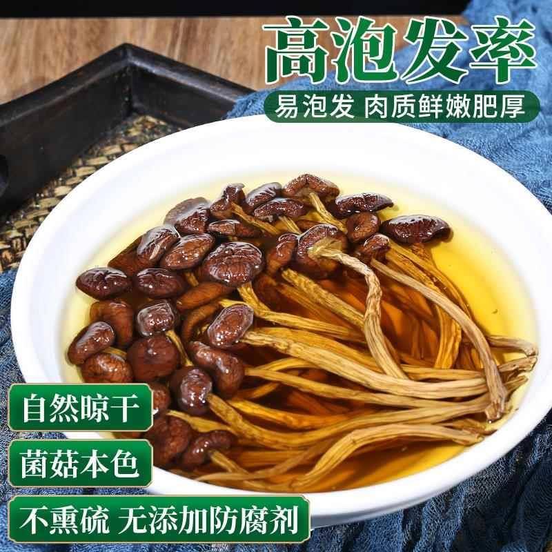 新货茶树菇干货净重云南特产农家脆嫩蘑菇炒菜炖汤食材不开伞菌菇