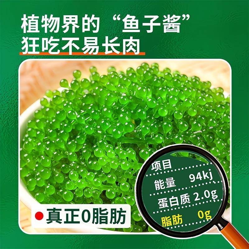 儿童海葡萄绿色鱼子酱即食泡发小孩吃的新鲜盐渍海葡萄官方旗舰店