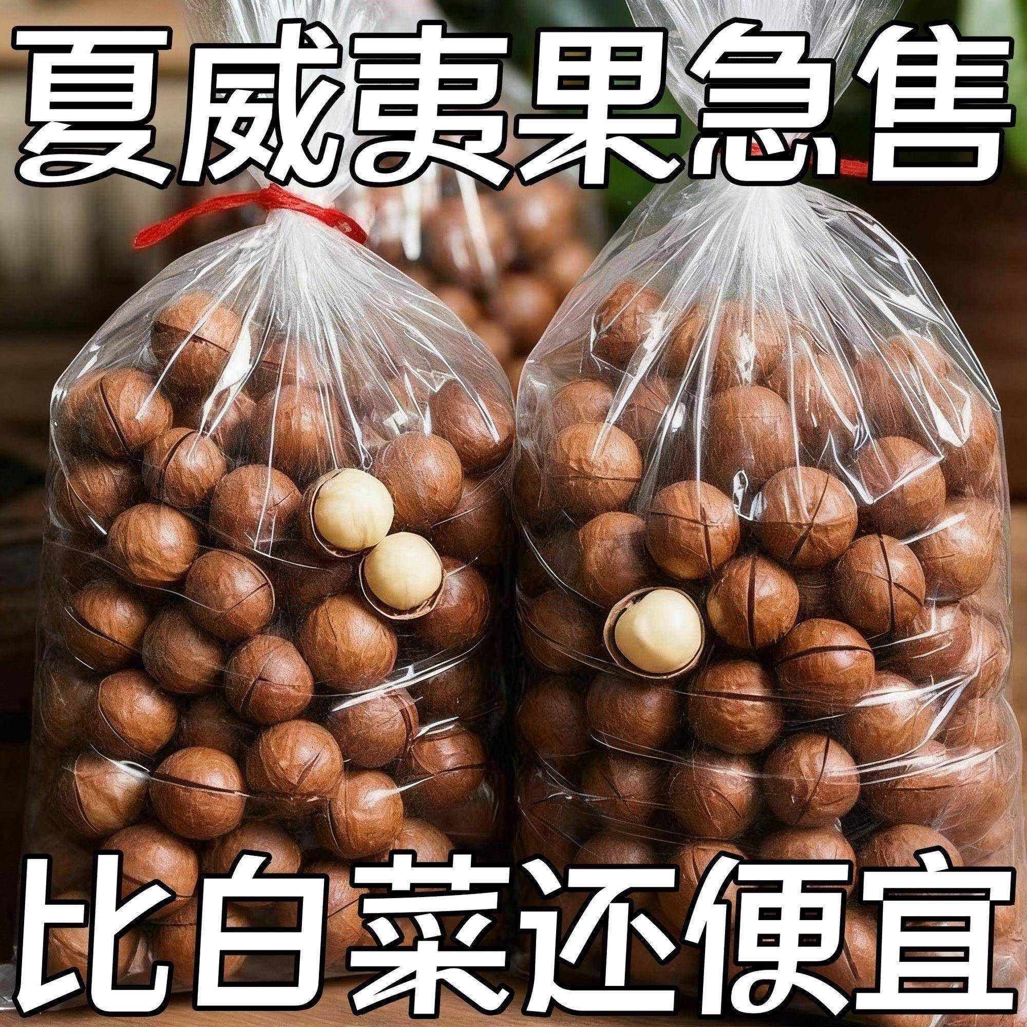 新货】5A大颗粒奶油味夏威夷果坚果炒货干果年货送开口器地方特产
