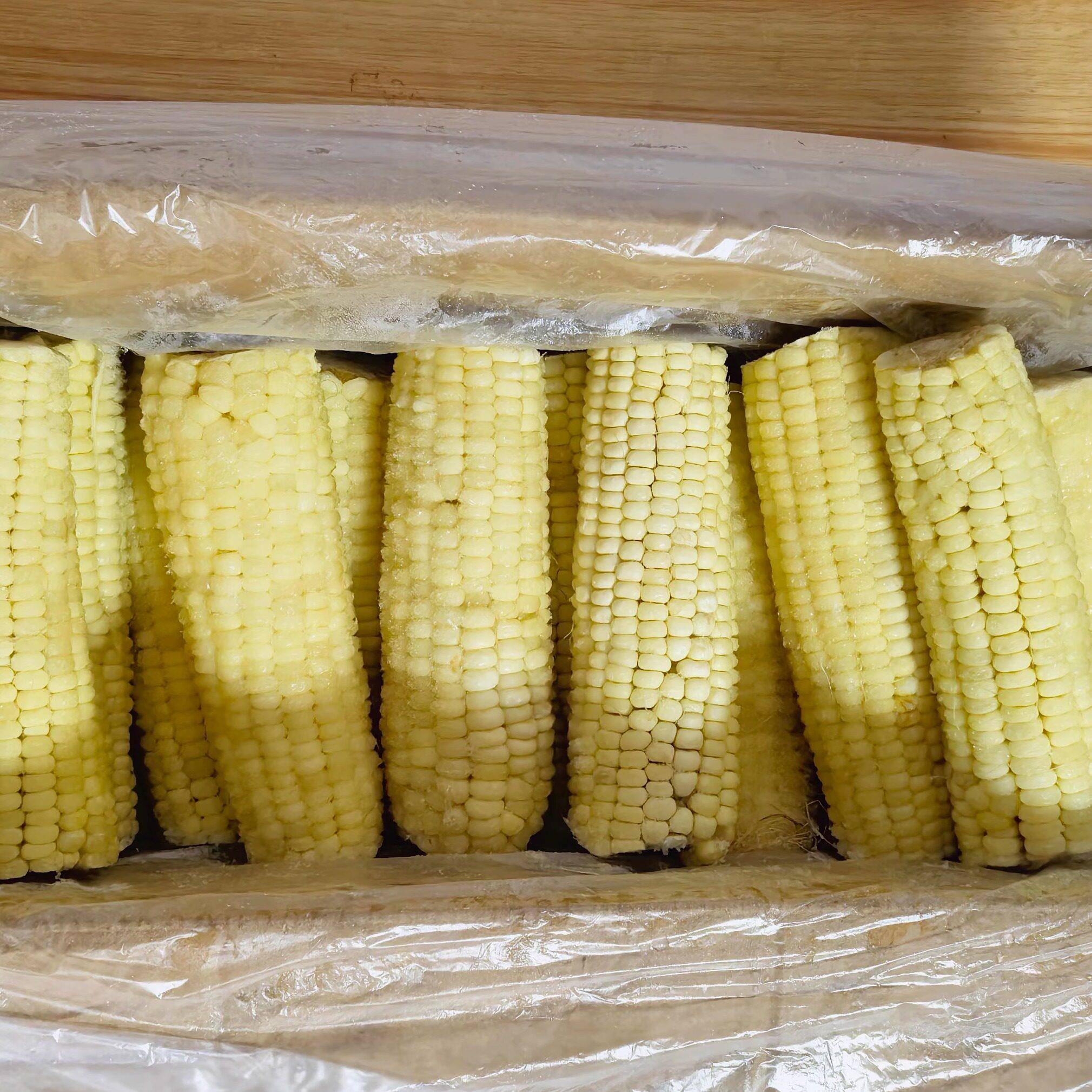 新货整箱甜糯玉米白玉米棒黄玉米早点店商用冷冻速冻苞米粗粮自助