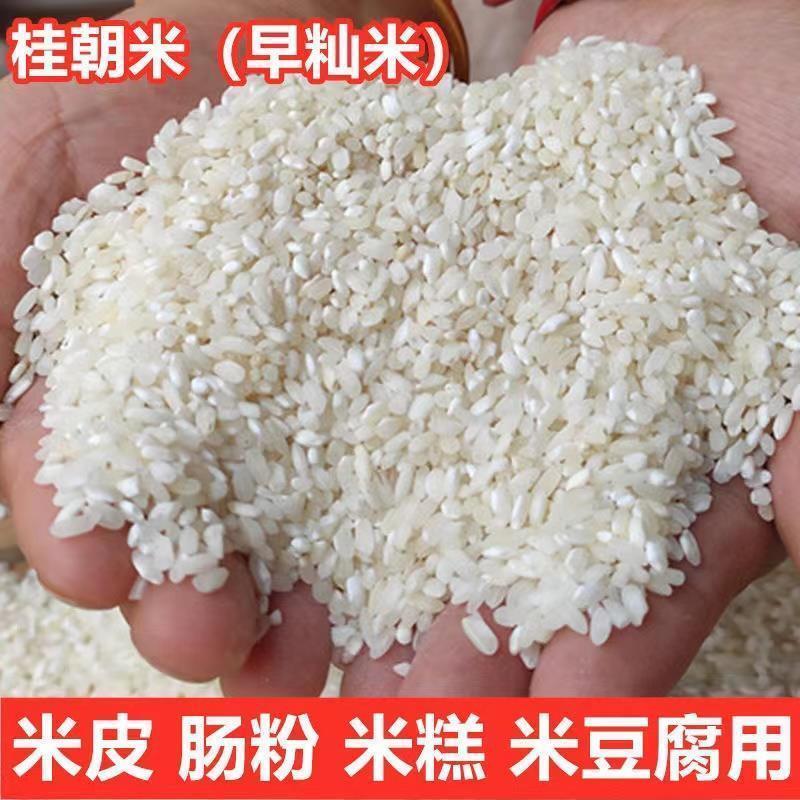 桂朝米凉糕肠河粉汉中米皮专用大米豆腐早贵州贵潮米商用珍桂