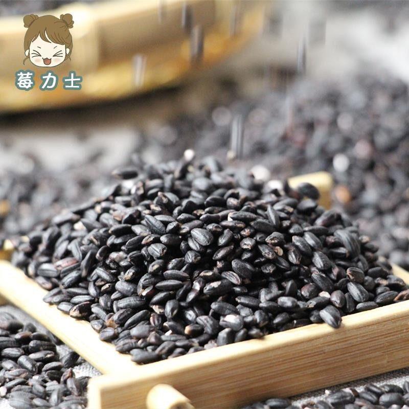 贵州正宗惠水黑糯米高原纯黑糯米农家老品种高杆紫全黑香糯米500g