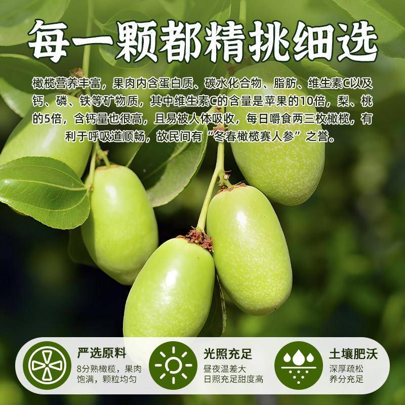 新货广东潮汕甘草橄榄特产盐津果脯九制正宗无蔗糖橄榄官方旗舰店