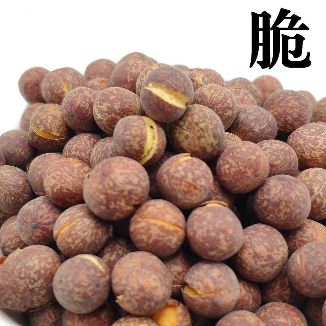 兰州灰豆子粗粮即食熟麻豆子青海小黑豌豆青皮蚕豆补钙黑豆1斤装