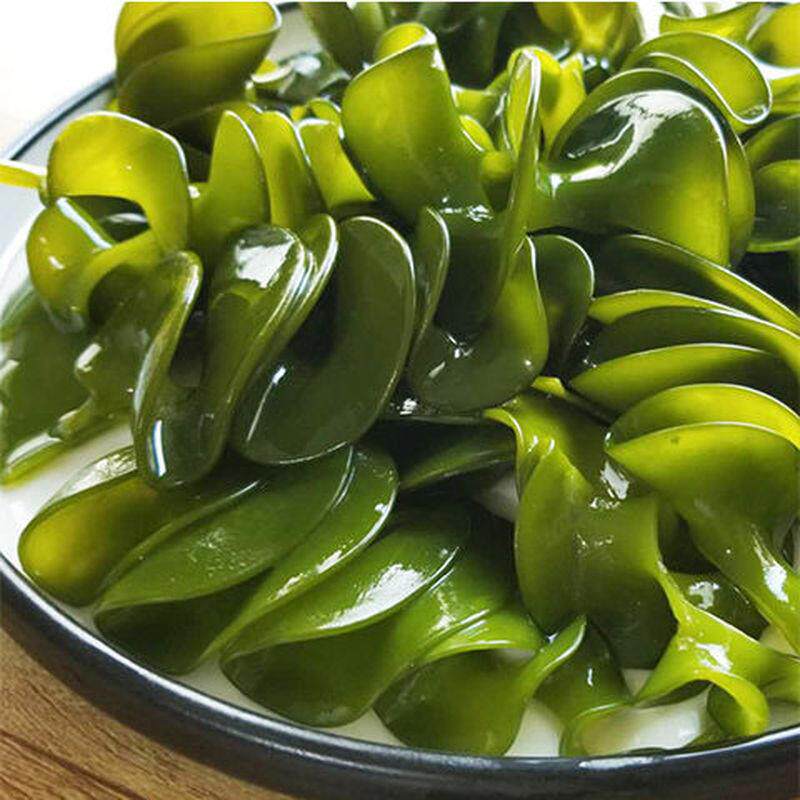 盐渍海木耳海灵芝裙带菜梗