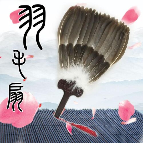 诸葛亮孔明扇八卦k扇羽毛扇礼品扇鹅毛扇工艺扇舞蹈摄影拍摄道具