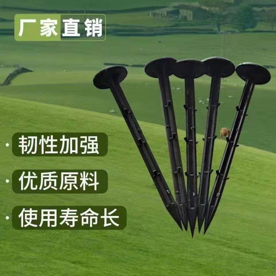 塑料地钉加粗加长拉枝钉大v棚地膜钉农田黑色除防草布倒刺地钉优