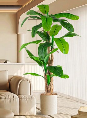 芭蕉树大型仿真植物高级仿生绿植盆栽室J内商场橱窗装饰花假树摆