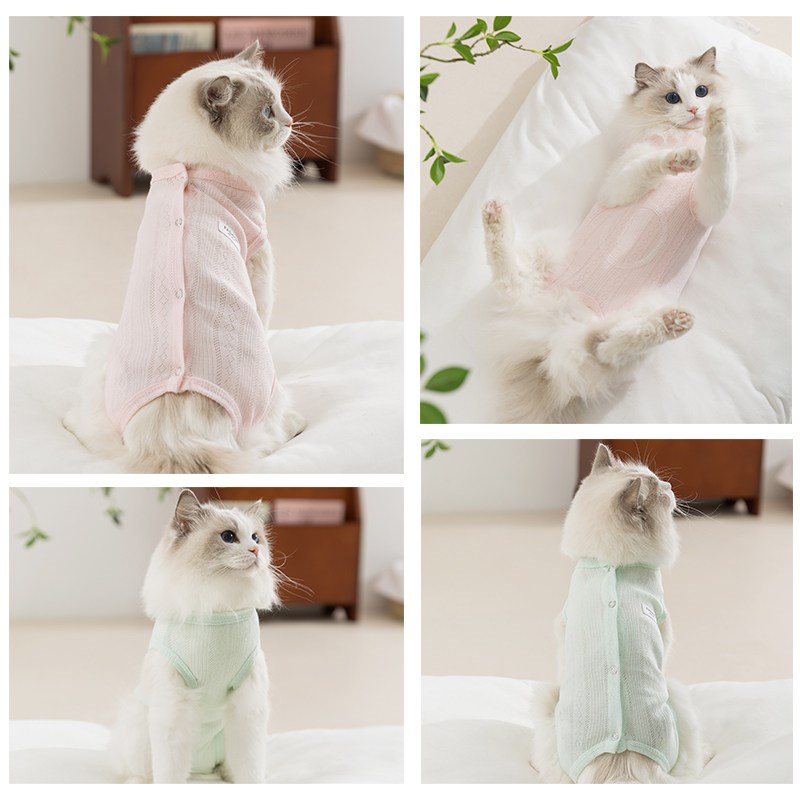 猫衣服包肚衣薄款宠物护肚衣保暖绝育服无毛猫防掉毛德文猫咪衣服