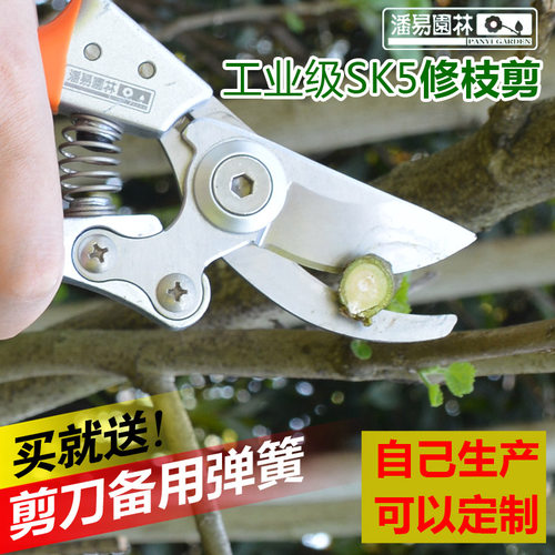 剪枝园艺剪刀剪树枝修枝剪果树枝剪葡萄剪子园林剪花艺剪刀工具
