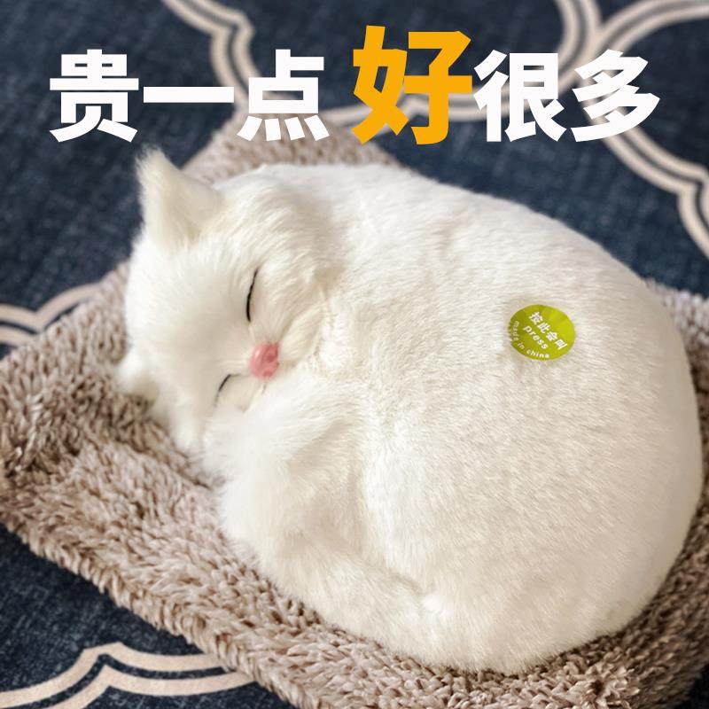 网红汽车摆件2024女生车上车内饰品除异味仿真动T物毛绒车载猫咪