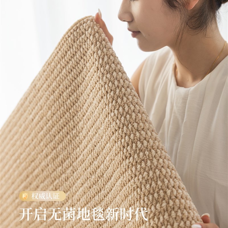 地毯客厅2e025新款卧室可机洗彷剑麻奶油中古风沙发地垫耐脏地毯
