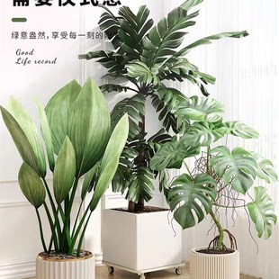 加厚可移动花盆托盘万向滑轮防潮室内带滚轮铁艺盆栽花架绿植底座