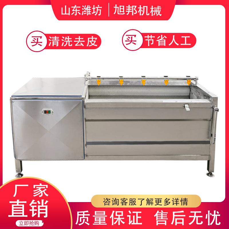 洋芋自动削皮机药材平行毛辊清洗去皮机食品厂辣根毛辊脱皮机器