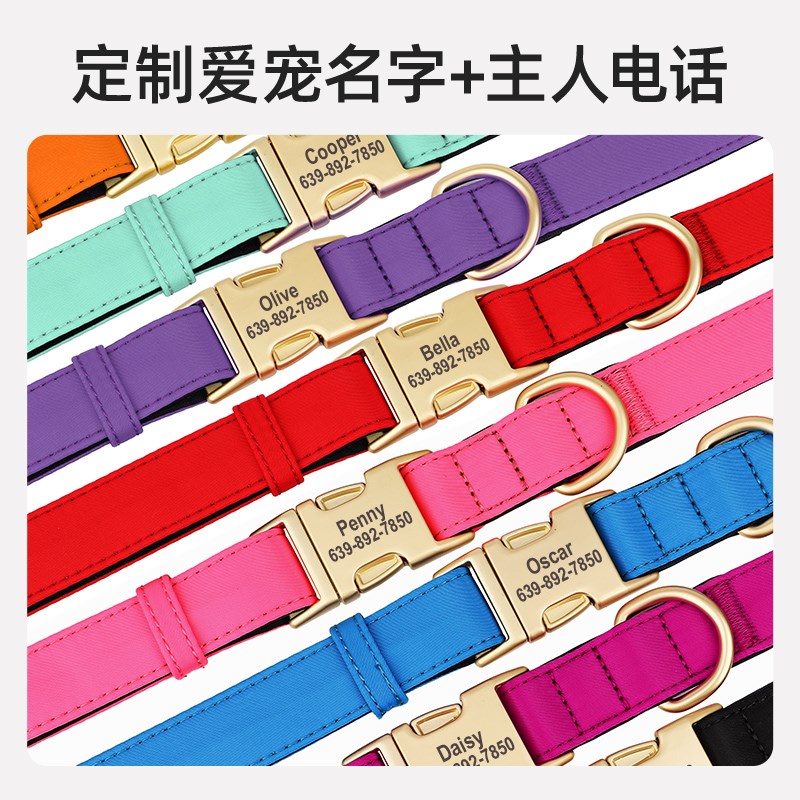 狗狗项圈狗脖圈小型犬泰迪宠物防丢颈圈中型犬法斗宠物牵引绳项圈