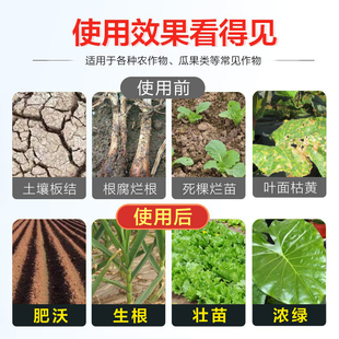 豫见美农根腐重茬净枯草芽孢杆菌生根粉土壤剂腐根蔬菜用