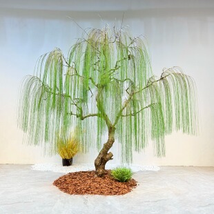 仿真柳树假柳树条室内装饰绿垂柳树造型树橱窗道具树假柳树枝布景