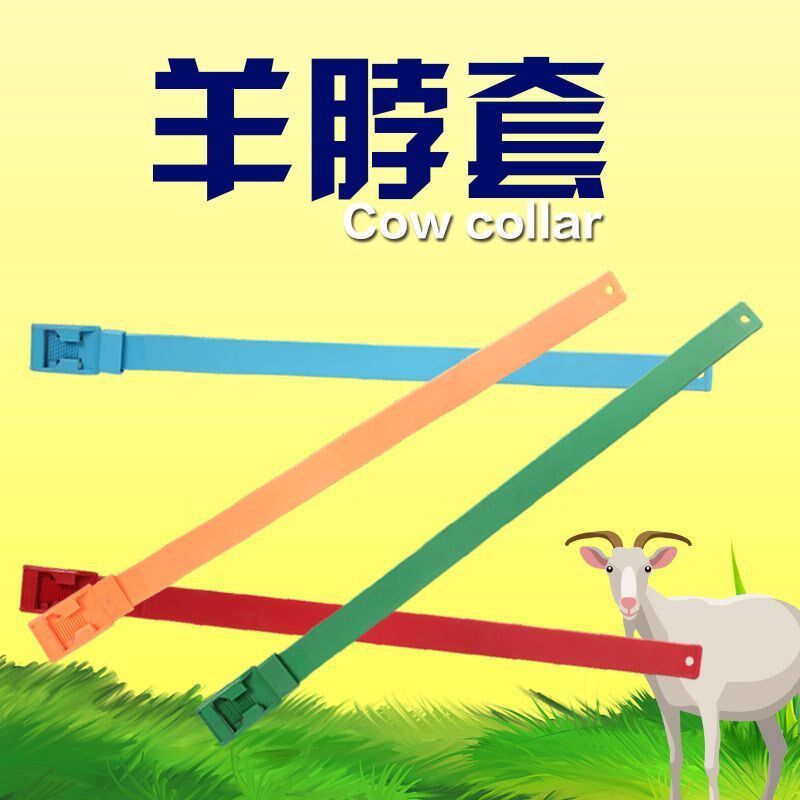 牛羊用颈脖带防掉防晒可调节羊用彩色识别带羊Q脚套羊脖子圈羊脖
