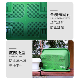 小香葱托盘红葱头 家庭阳台种菜盆蔬菜种植长方形花盆塑料长条四季