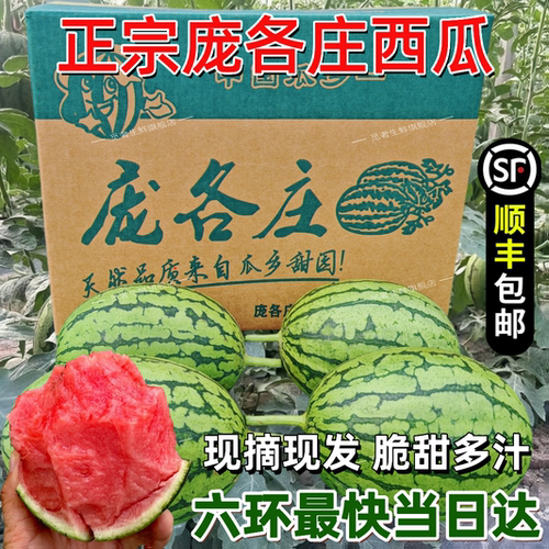 北京大兴庞各庄西瓜L600手剥西瓜