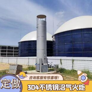 50立方沼气火炬简易火炬污水处理厂沼气排放燃烧火炬