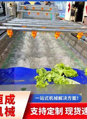 HSO材蔬菜水果清洗风干流水线 海带高压清洗备设中药洗清机器恒成