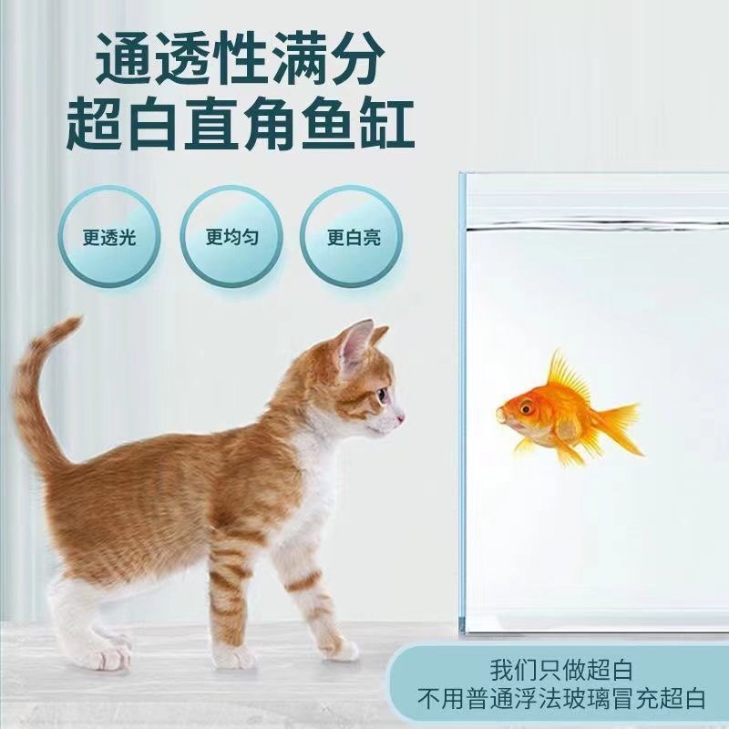 金晶超白玻璃鱼缸定制长方形大型小型裸缸客厅造景60cm80草缸龟缸