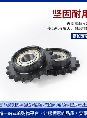 45钢10A惰轮链轮单边台带轴承替代STLA06B 06C 08B 12A链条涨紧轮