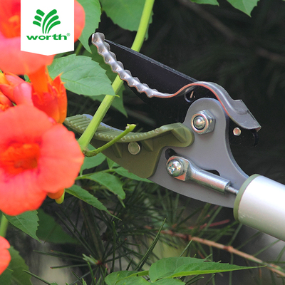 沃施worth 高枝采果剪刀 摘果器高枝剪高空采果剪琵琶荔枝摘果剪