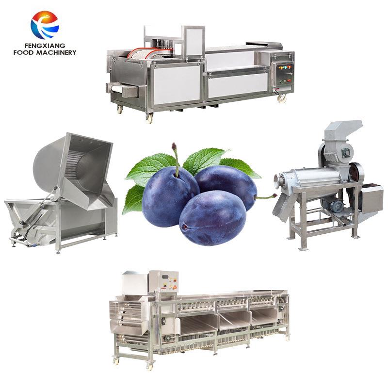 商用西梅去核机清洗榨汁整套加工设备不伤果肉