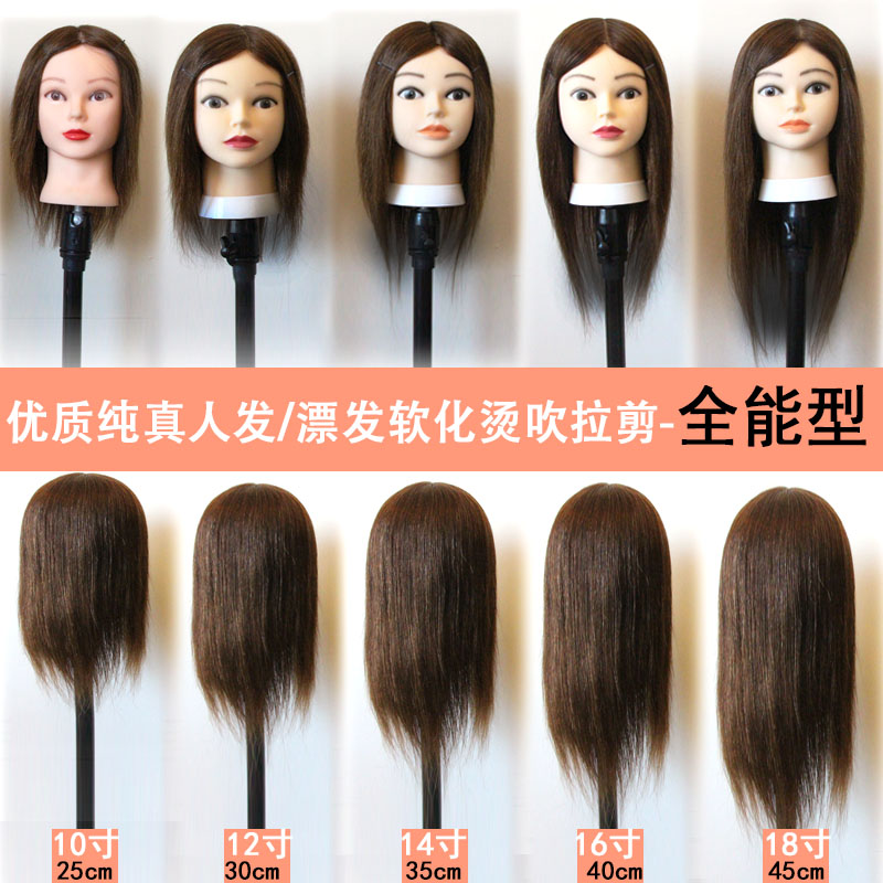 头模真发 全真 学徒美发头模全真发头模型假N人头练习假发头模人