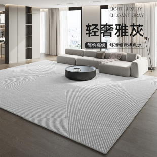 轻奢高级感卧室床F边毯免洗可擦家用沙发地垫防 地毯客厅2024新款