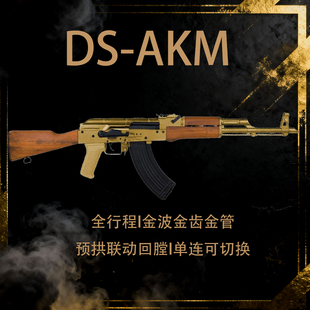 DS AKM实木全行程电动连发突击玩具步枪AK系列wargame下场玩具枪