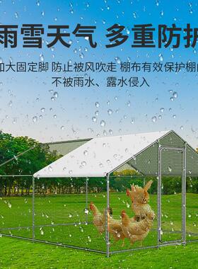 甄选鸡笼子鸡棚家用养殖笼鸽笼大号特大孔雀养鸡笼子防老鼠蛇搭建