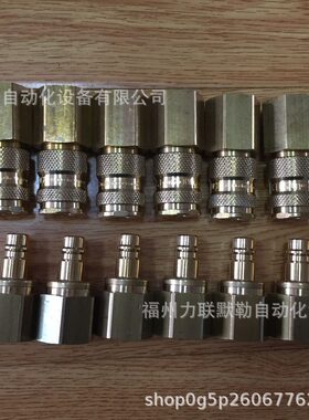 甄选25KBIW17MPN RECTUS接头25KB IW17 MPN 内螺纹G3/8利达时快换