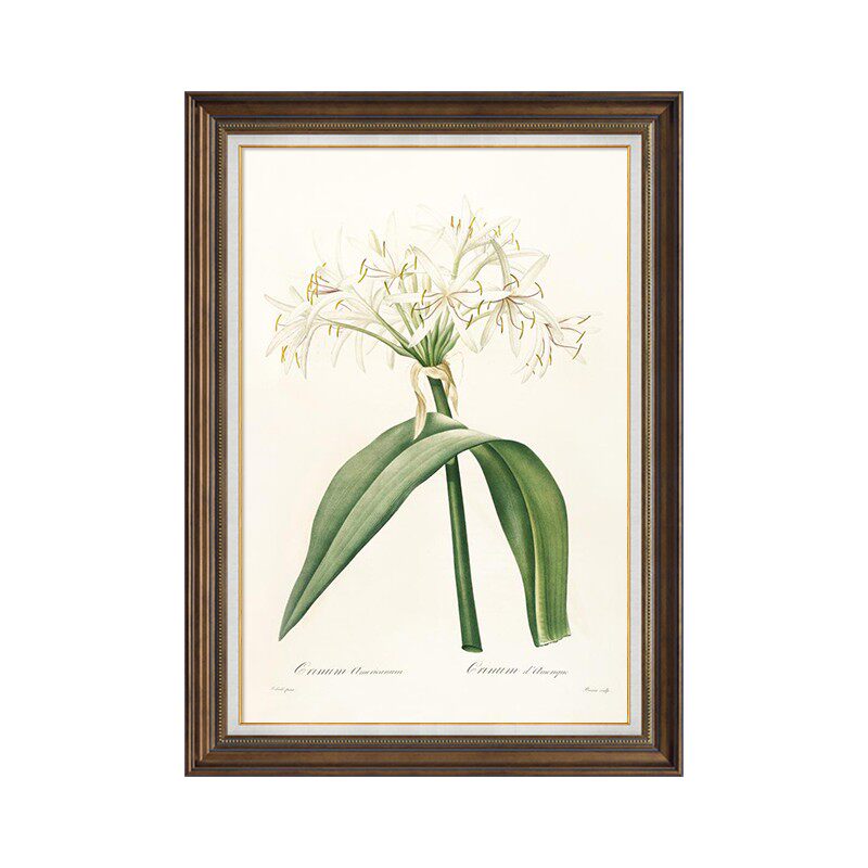 美式入户装饰画清新植物简美挂画玄关墙面装饰餐厅背W景墙兰花挂