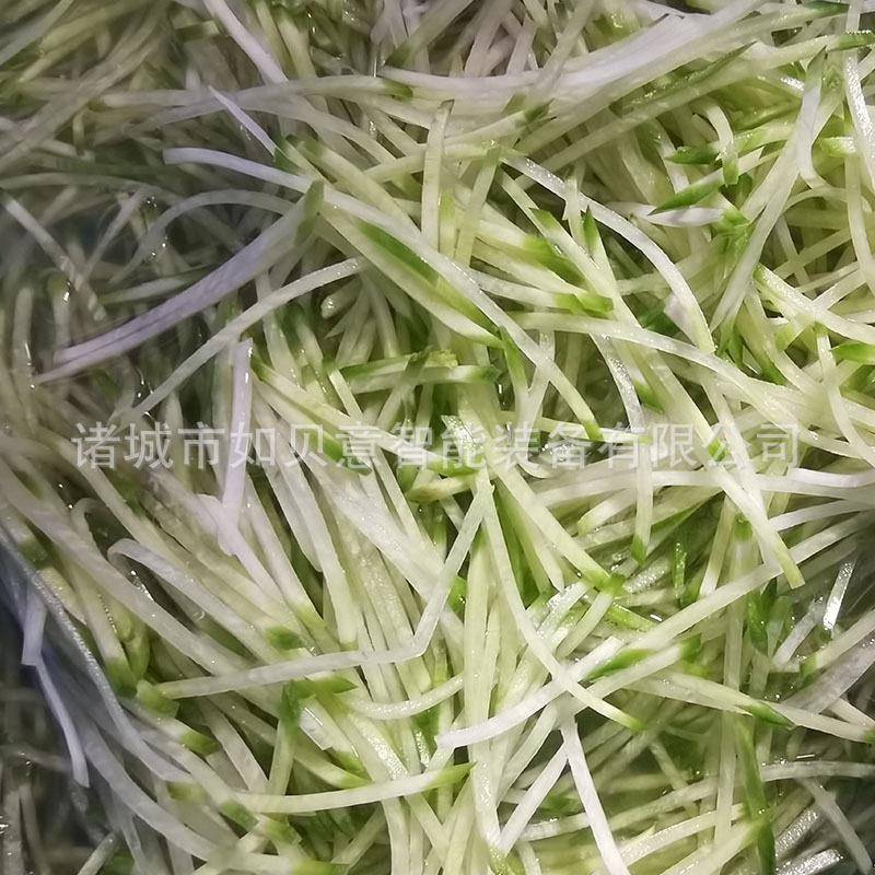 腌制生姜切丝机 台湾生姜切丝擦片设备 离心式竹笋切丝机