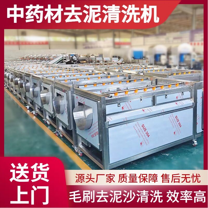 大产量地黄清洗机 中药材毛辊清洗机 党参葛根清洗去泥设备