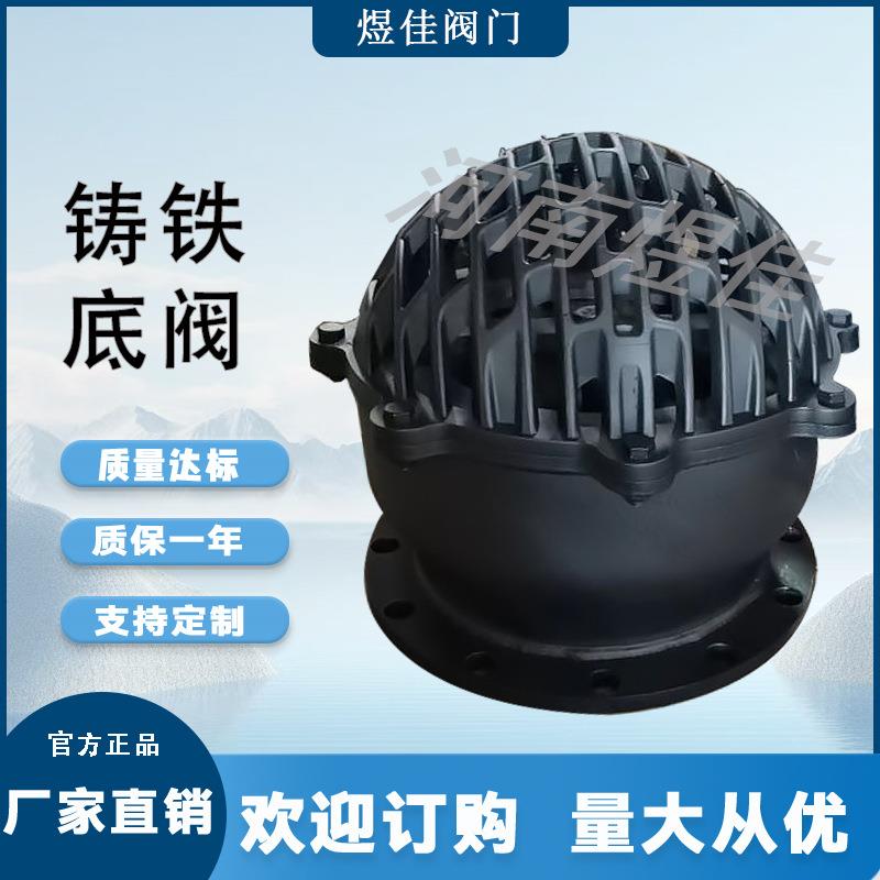 厂家供应H42X水泵底阀铸铁材质底阀法兰升降式底阀单向阀铸铁底阀